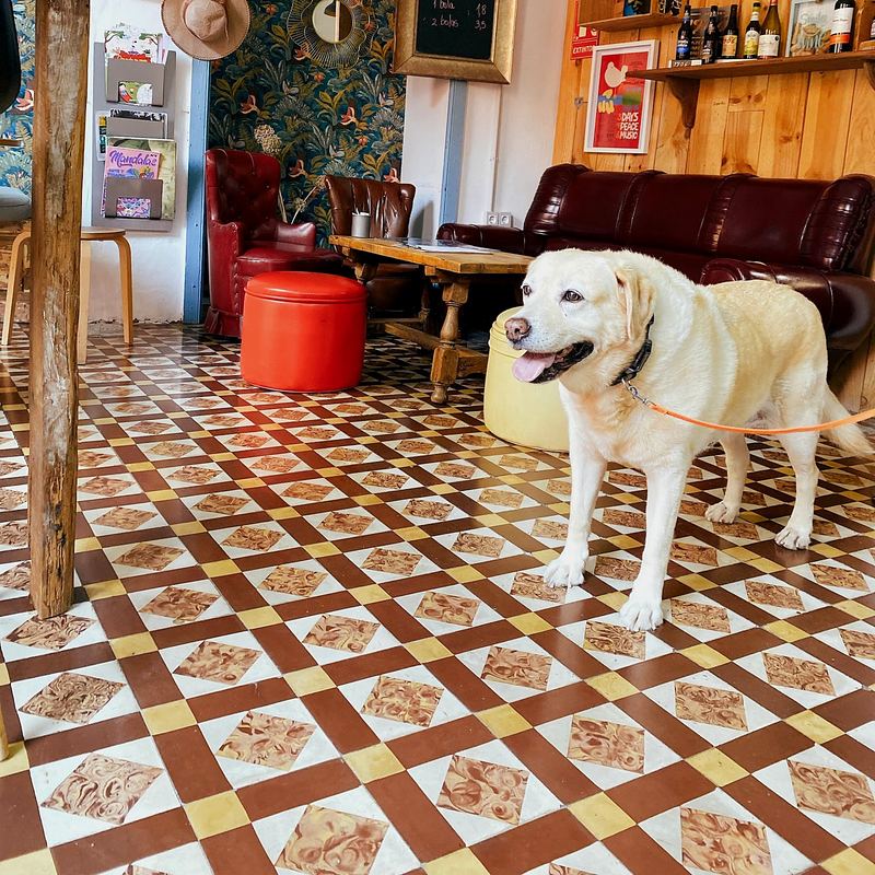 Espacio pet-friendly